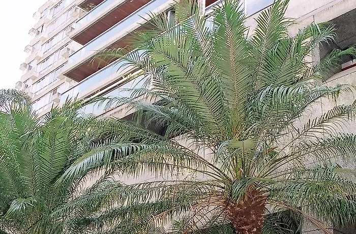 Abilita Suites Ipanema Tower